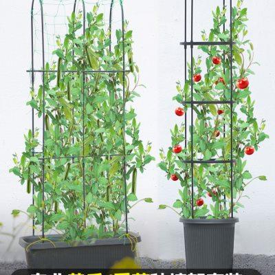 番茄黄瓜爬藤架套装阳台菜架子种菜专用盆爬藤支架杆蔬菜西红柿架