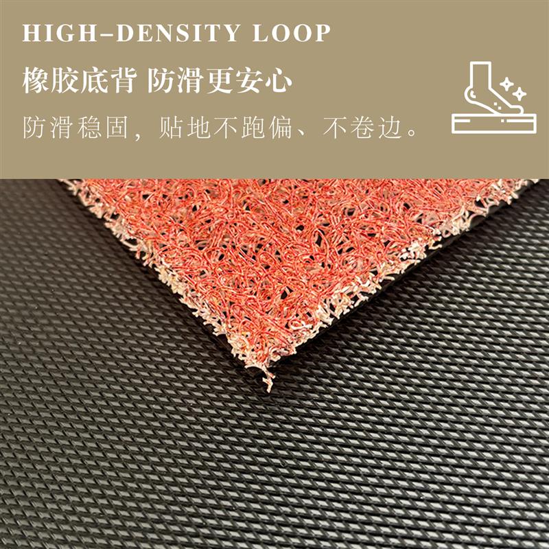 新款入户门地垫门垫高级门口地毯防滑脚垫进门中式耐脏丝圈进门毯