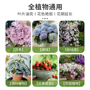 天狼月季奥绿318s缓释肥通用1号颗粒肥普立安控释肥铁线莲绣球肥