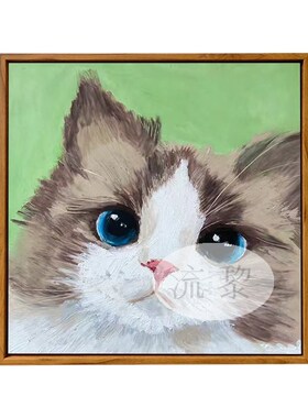 网红可爱布偶猫咪立体石英砂丙烯肌理画手工填色儿童DIY数字油画