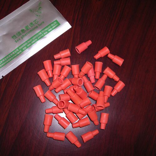 橡皮头  硅橡胶塞 诱芯性诱剂橡皮塞 诱芯载体