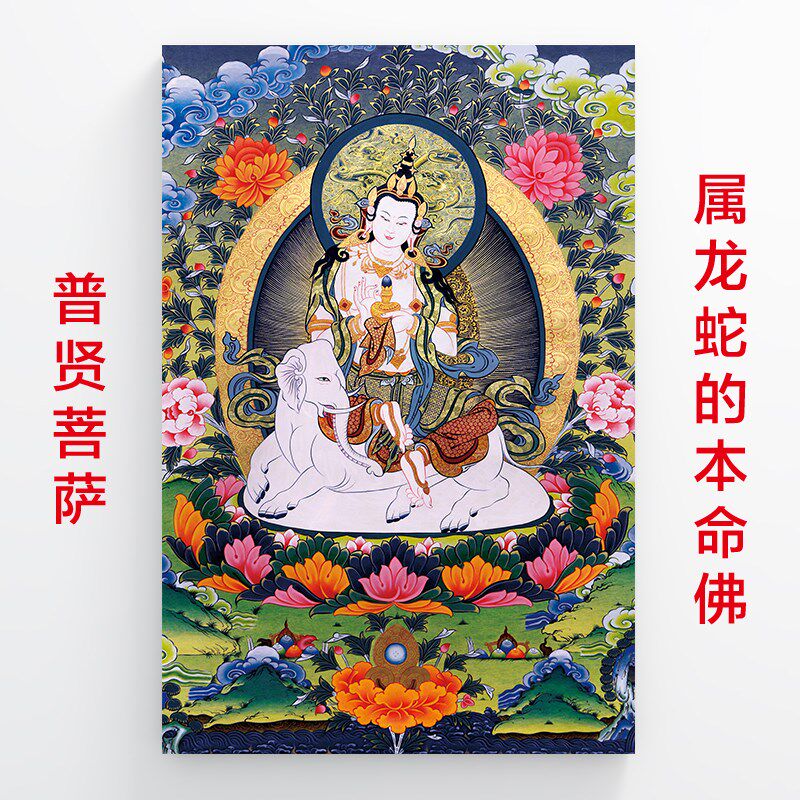 属龙蛇的本命佛普贤菩萨佛像十二生肖守护画像墙画人物自粘墙贴画