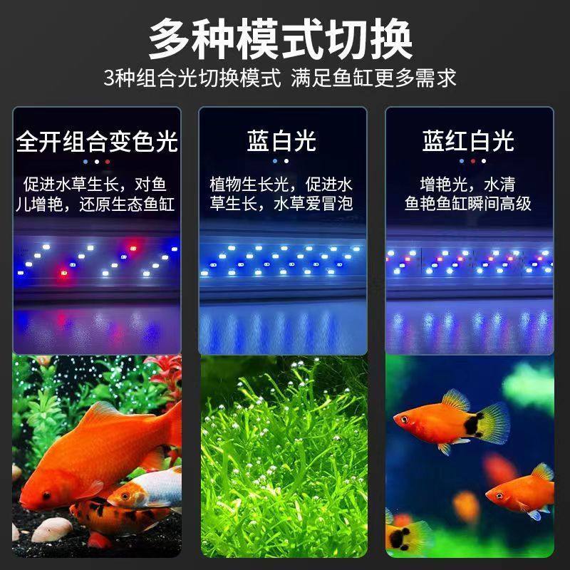 鱼缸节能灯led照明灯支架草缸乌龟造景防溅水草灯中小型水族箱灯,宠物/宠物食品及用品,照明器材,淘宝优惠券,粉丝福利购,淘宝优惠卷