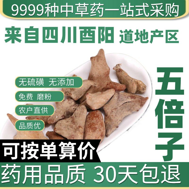 中药材特级野生五倍子50g可磨五倍子粉 敏感男性可搭蛇床子五倍子