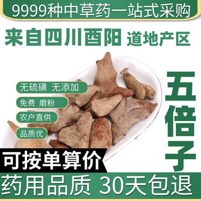 中药材特级野生五倍子50g可磨五倍子粉 敏感男性可搭蛇床子五倍子