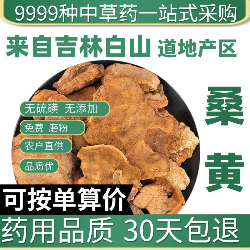 桑黄西藏茶干货正品小努桑树桑黄孔正宗灵芝泡水50克原产地直发农