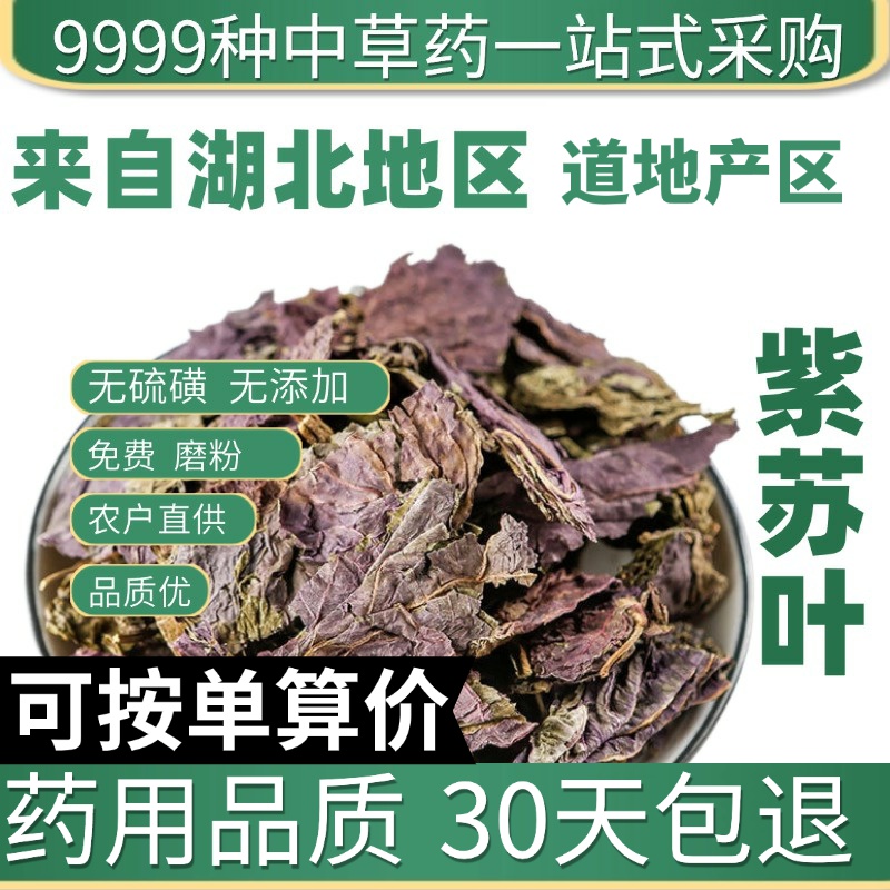 中药材特级紫苏叶野生紫苏叶泡水干货泡茶泡脚50g另售紫苏叶粉