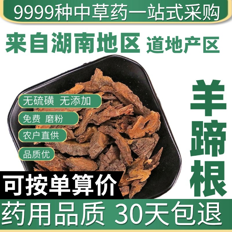 中药材特级野生羊蹄根 正品新货土大黄 牛耳大黄 牛西西 50克