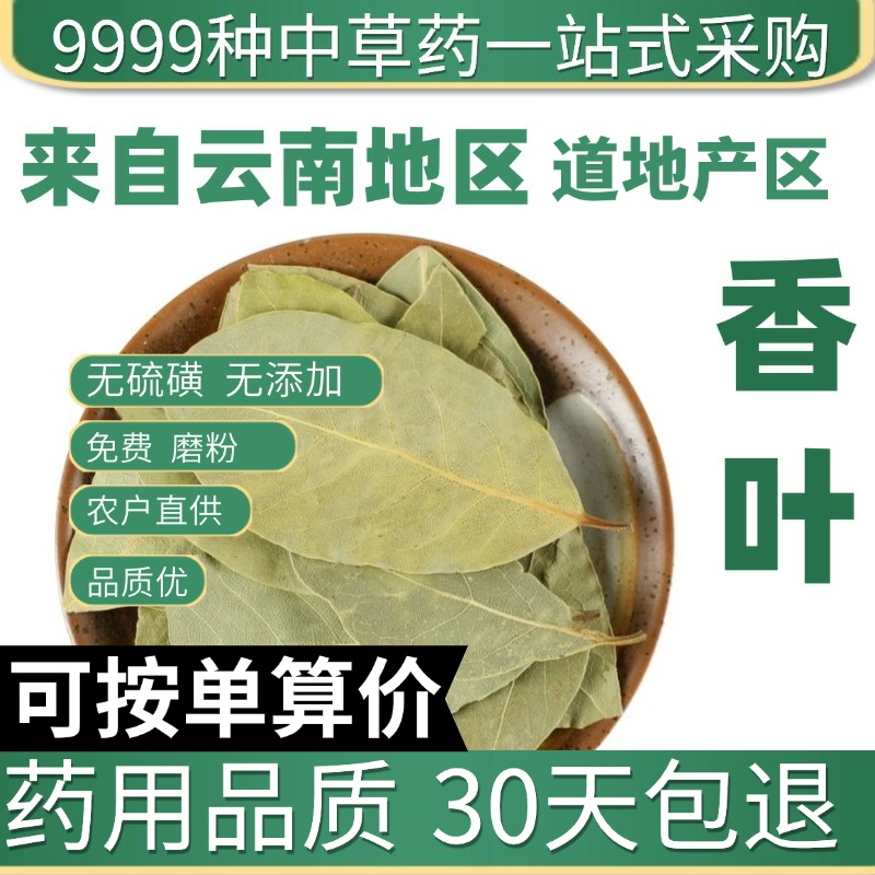 中药材特级云南香叶50g新货月桂叶炖肉香料樟树叶肉桂叶草药正品