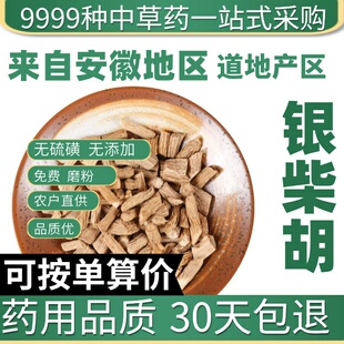 中药材特级野生银柴胡50克正品新货山根子银胡山菜根银胡根牛肚根