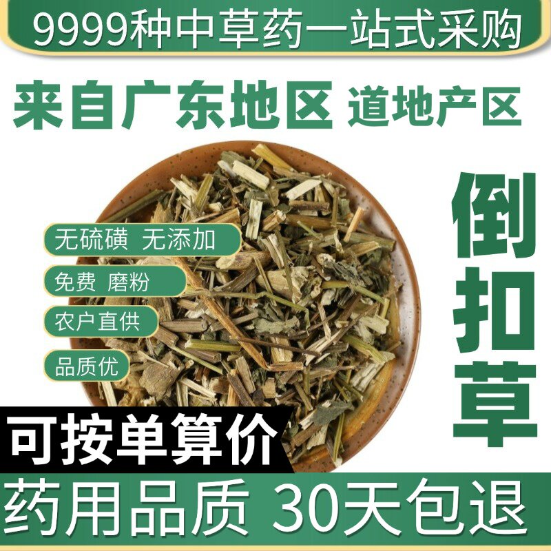特级倒扣草 牛舌大黄 正品新货倒钩草 50克中草药原产地直发农家