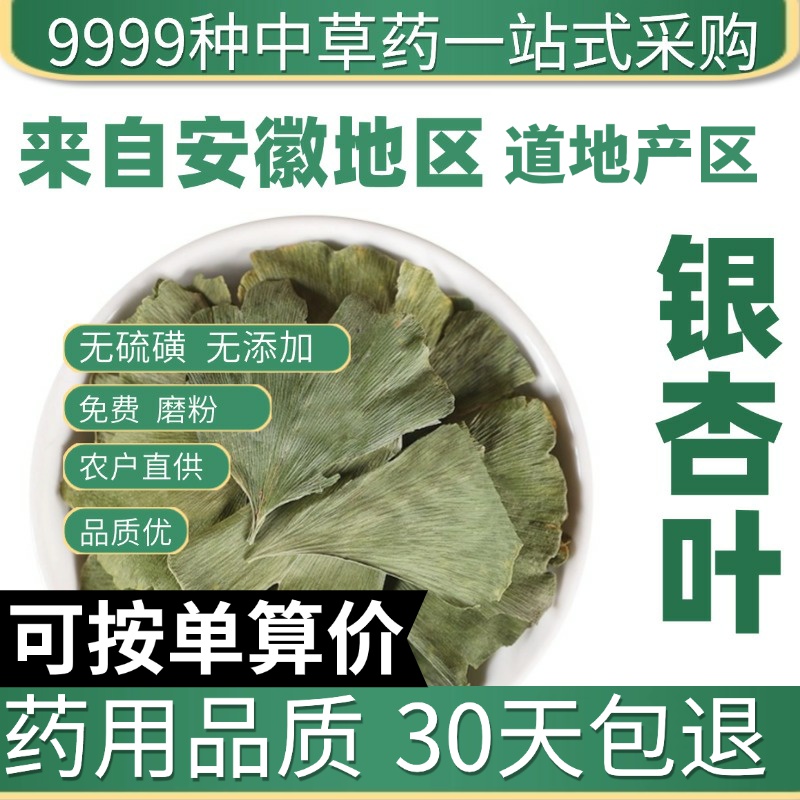 中药材特级天然银杏叶50克g银杏叶茶正品新货白果叶干货整片泡茶