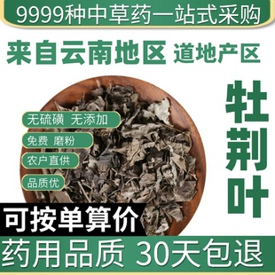 中药材特级野生牡荆叶 黄荆柴 正品新货黄荆条 荆条棵 50克