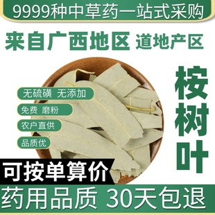 中药材特级野生桉树叶 正品大桉叶大叶桉 大按树叶橡树叶桉叶50克