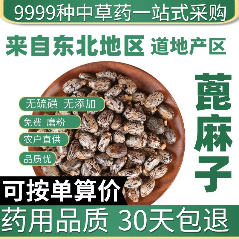 中药材店铺特级野生蓖麻子蓖麻籽新鲜干货50g大粒蓖麻籽种子