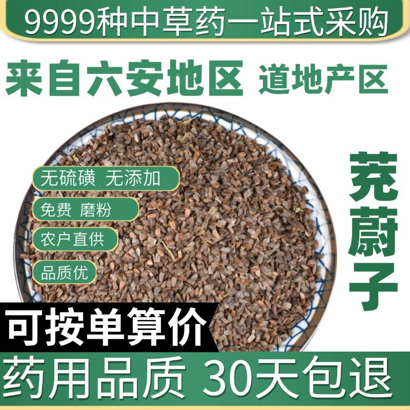 特级茺蔚子益母草籽苦草子茺玉子籽茺蔚籽正品新货50克原产地直发