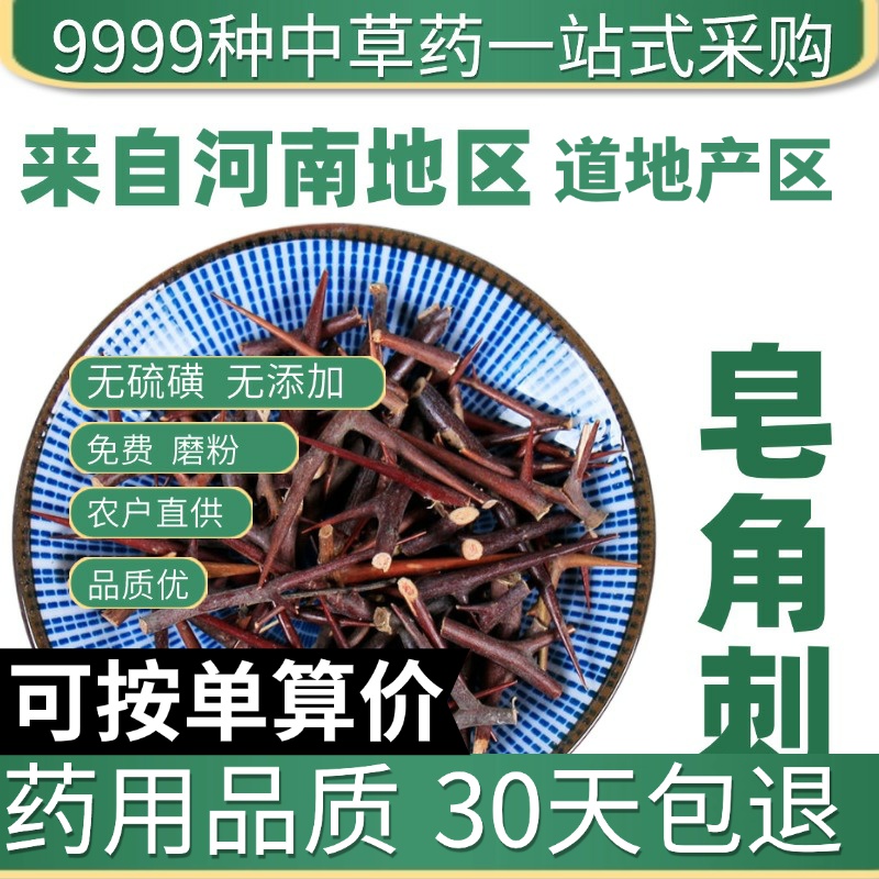 中药材特级野生皂角刺50g新鲜皂荚刺 天丁 皂针 皂角刺皂刺中草药