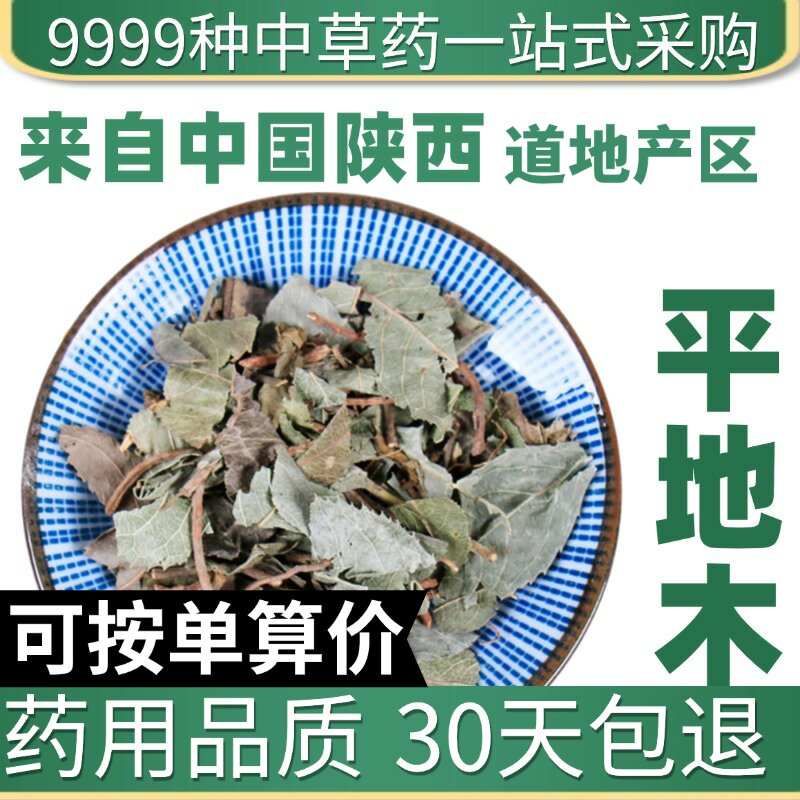 特级平地木 矮地茶 不出林 叶底珠 叶下红正品新货50克原产地直发