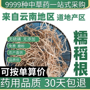 野生特级糯稻根中药材50克g正品新货糯米根干净纯根糯谷根须草根
