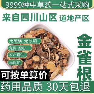 中药材特级野生金雀根 阳雀花根 金雀根粉 金雀花 独行千里 50克