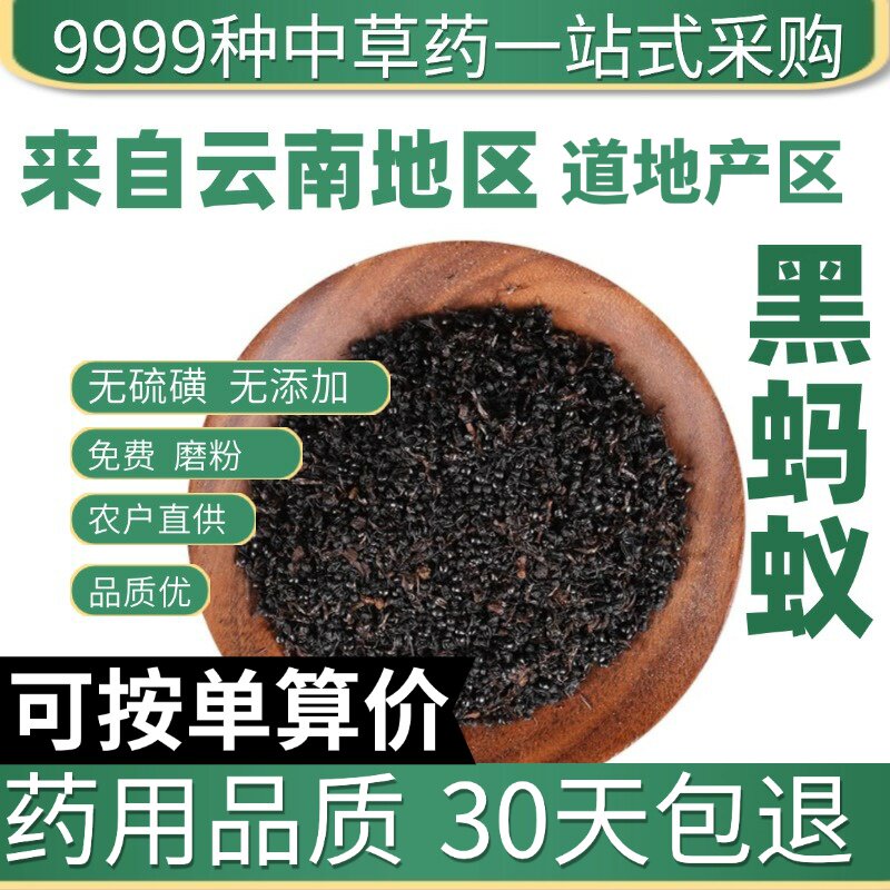 特级黑蚂蚁 干货蚂蚁 拟黑多刺黑蚂蚁 50克泡酒原产地直发农家干