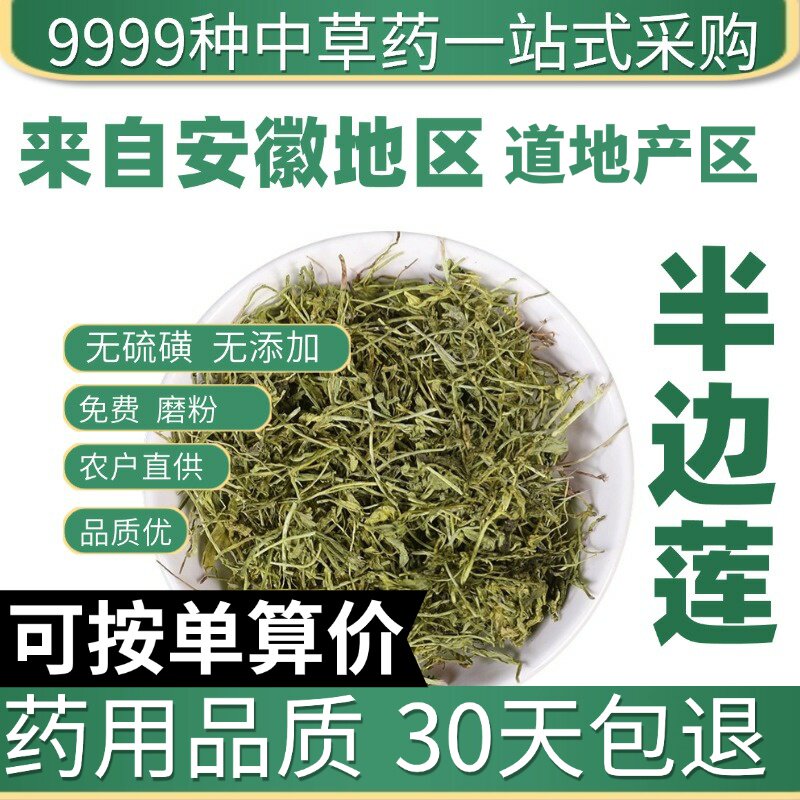 特级半边莲50克半边旗正品新货中草药大全瓜仁草细米草原产地直发
