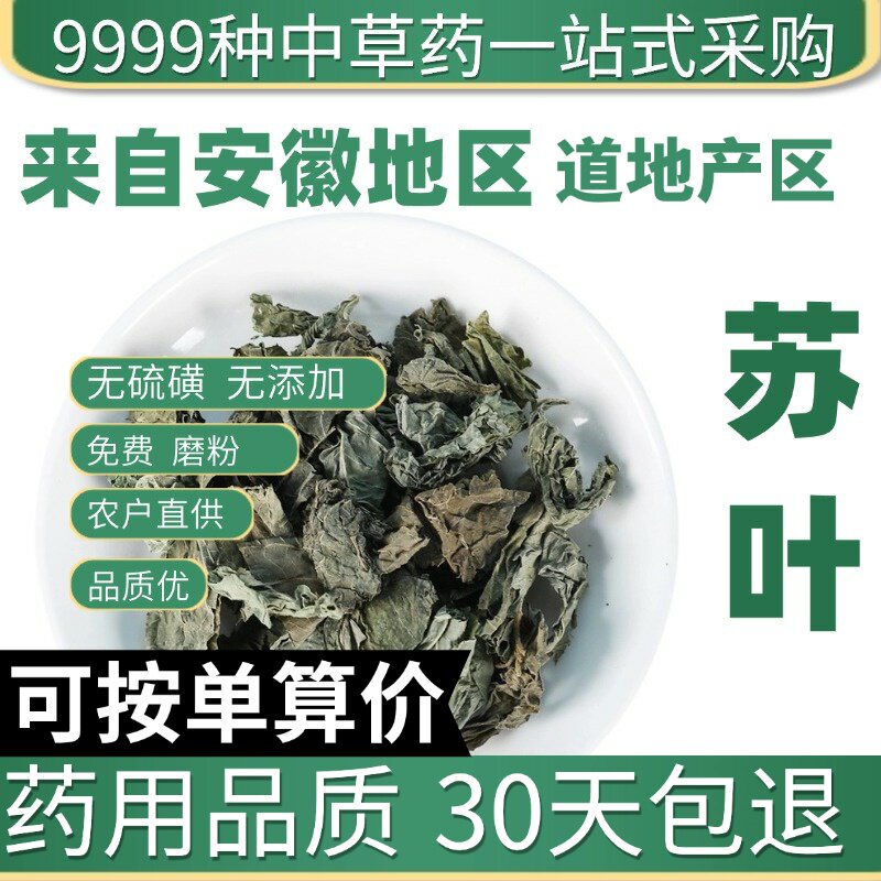 新货特级苏叶正品食用苏叶青苏叶茶新鲜泡澡50g克原产地直发农家