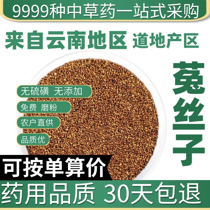 中药材特级野生菟丝子内蒙新货兔丝子菟丝子粉泡水泡茶50g正品新