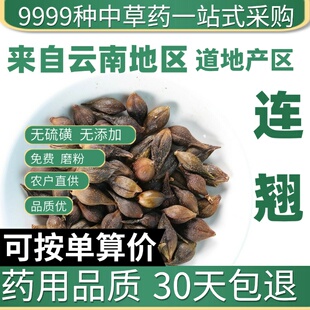 中药材特级野生连翘50g克汉中贯叶连翘正品青翘黄翘连翘泡茶泡水