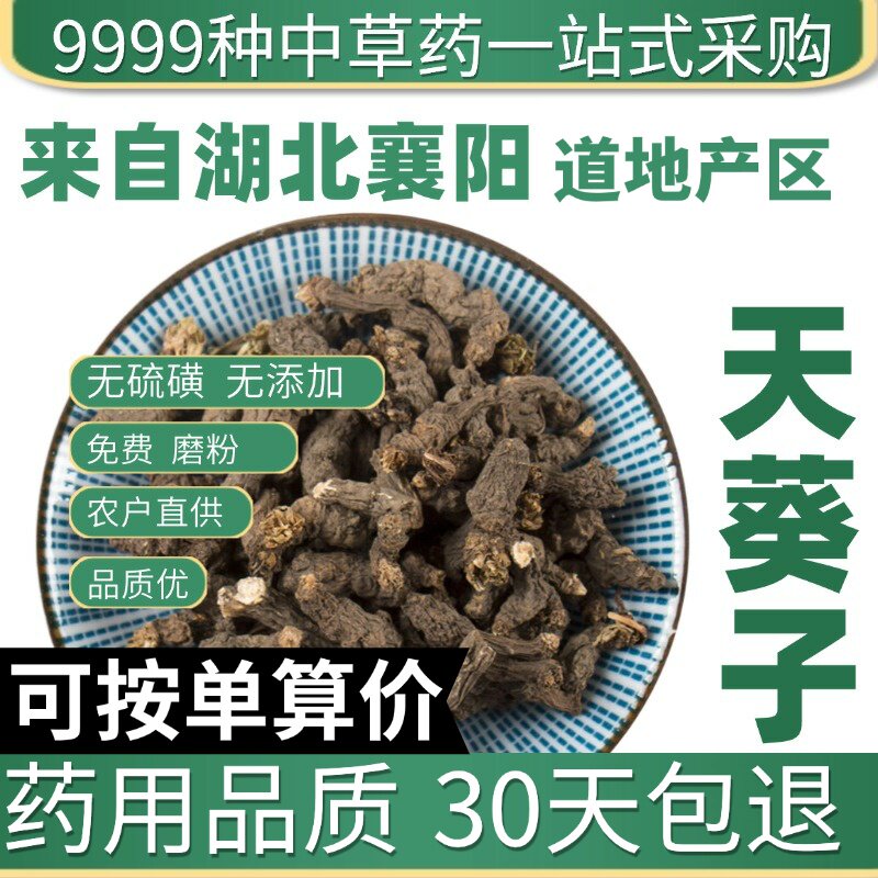 特级天葵子 天葵子粉 紫背天葵子 正品千年老鼠屎 50克原产地直发