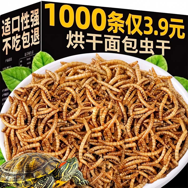 疯抢~1000只斤3.9元烘干面包虫干