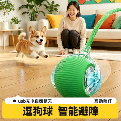 狗子精力＞主人？自动遛狗球来了