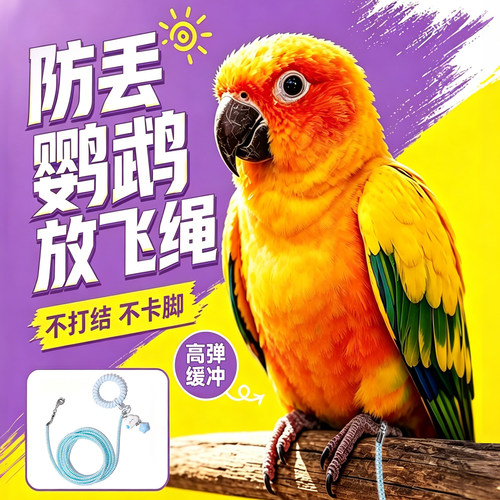 鹦鹉外出专用绳~2m范围遛鸟防丢