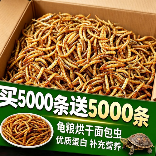 买5000条送5000条~龟粮面包虫干