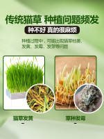 Cat snacks: Cat grass and mint cookies help with hair removal, intestinal care, teeth grinding and cleaning, oral hygiene, and mix with cat food thumbnail 4
