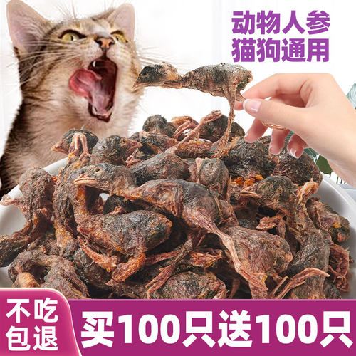 ZC同款~增肥发腮冻干鹌鹑