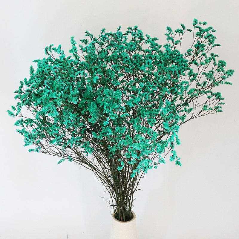 新款直销云南干花永生花基地 永生水晶草 花束家居装饰插花摄影道,家居饰品,餐桌花艺,淘宝优惠券,粉丝福利购,淘宝优惠卷