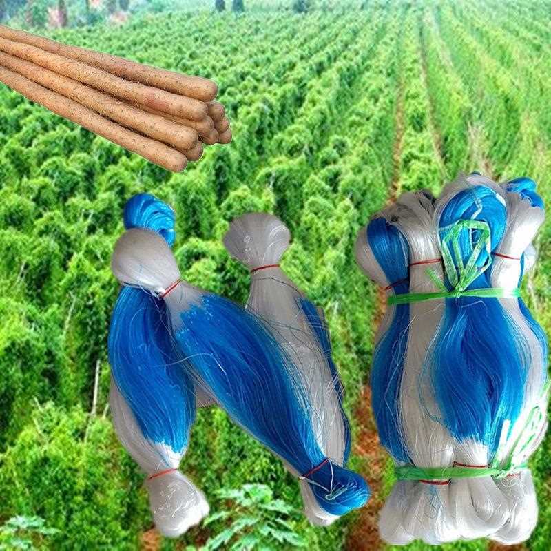 新款直销植物爬藤网爬藤架山网吊瓜黄瓜网豆角网攀爬支架种植网