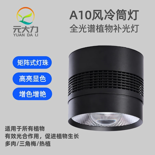 元 全光谱多肉三角梅热植补光灯上色 大力A10风冷筒灯植物补光灯