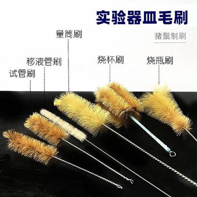 试管刷 烧杯刷 三角烧瓶刷锥形瓶刷移液管刷吸管刷量筒刷容量瓶刷