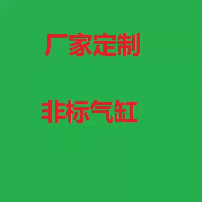 非标气缸定制定做长行程多位置大缸径无杆滑台标准