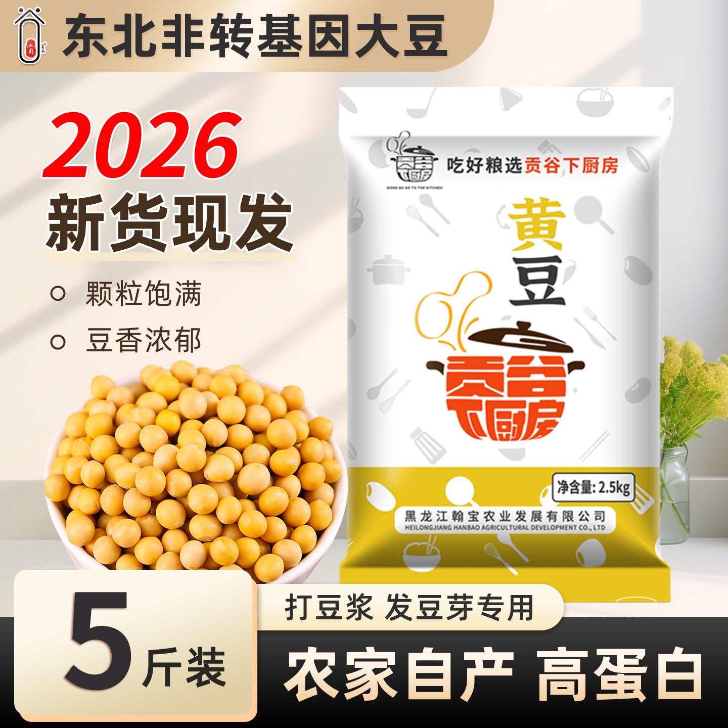 2026新货东北非转基因黄豆农家自种大豆打豆浆发豆芽专用高蛋白