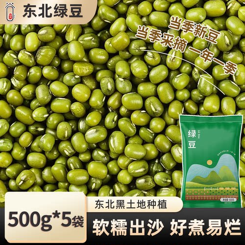 东北绿豆新鲜可发芽大颗粒