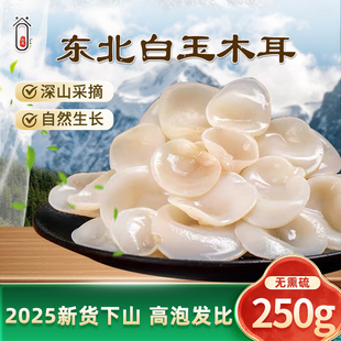 东北白玉木耳2025新货下山椴木白背小碗耳无根木耳干货特产无硫熏