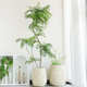 简约水泥花盆大型植物绿植镁泥花器客厅阳台落地盆栽室内装 饰摆件