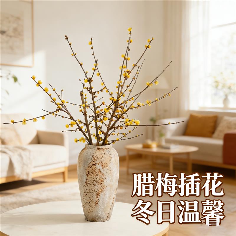 宋氏美学花瓶复古高级感青花瓷陶瓷花器客厅插花腊梅鲜花桌面摆件图片