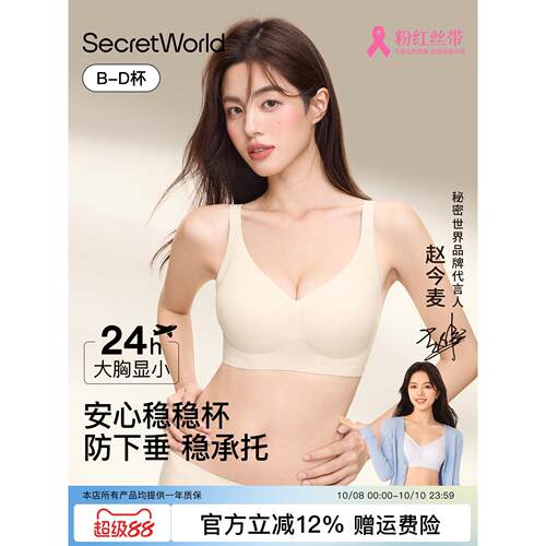 Secret World内衣女胸大显小收副乳防下垂无痕提拉粉底液文胸罩