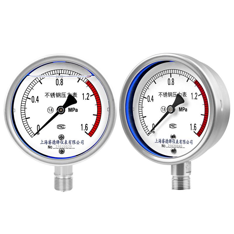 不锈钢压力表Y100BF YTF100H不锈钢耐震压力表304高温 氨用睿德锋