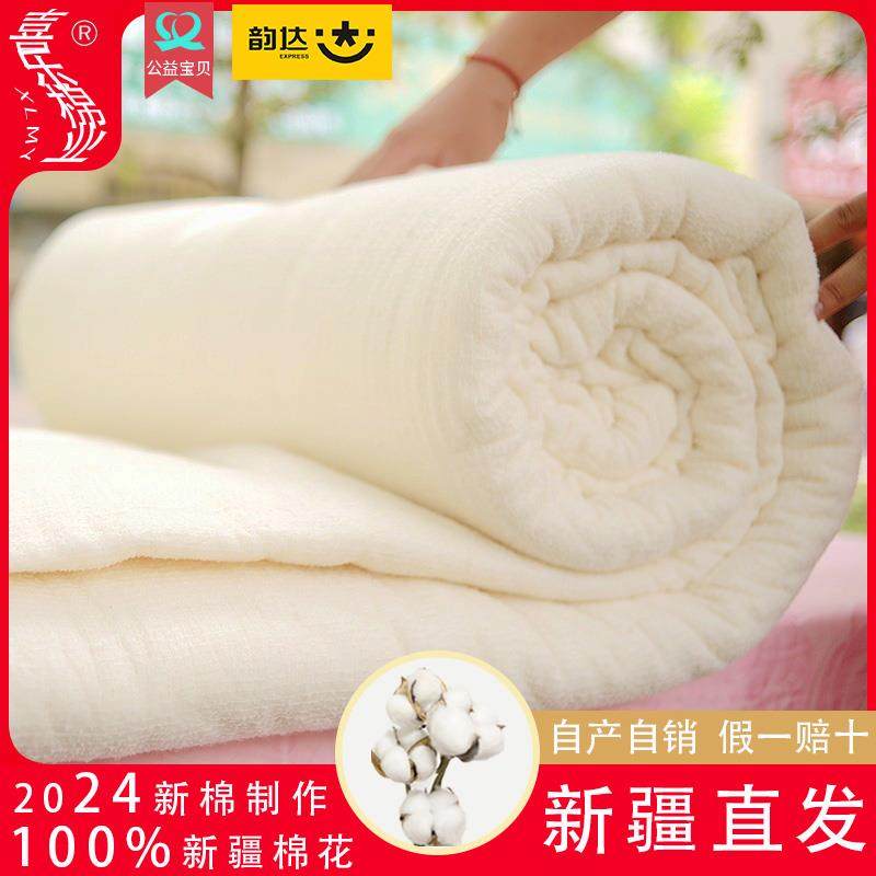 正宗新疆棉被纯棉花被子褥子被芯手工被棉絮春秋被学生被加厚冬被