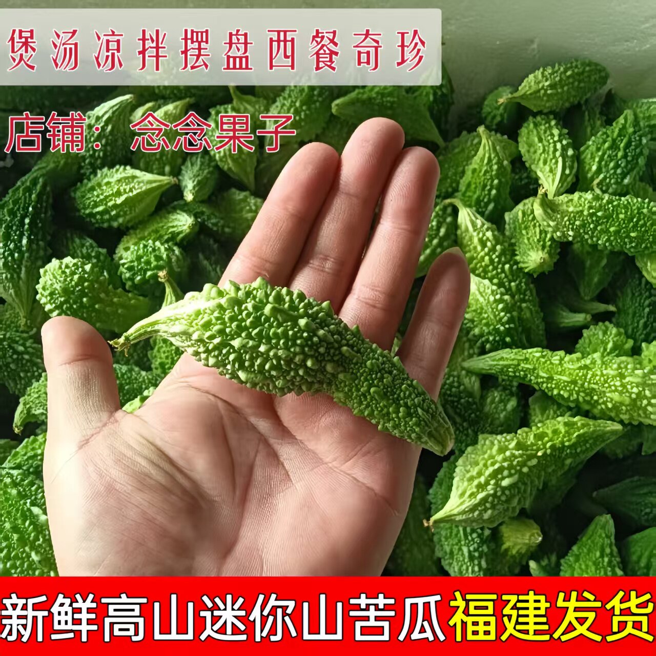 新鲜山苦瓜当季野苦瓜野生苦瓜小苦瓜仔农家自种炒蛋酿肉炖汤煲汤